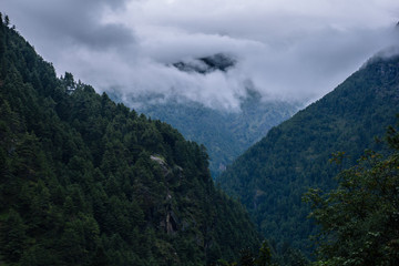Obraz na płótnie Canvas Himalaya mountain in clouds, green forest