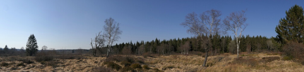 Panorama Hohes Venn, Eifel