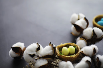 Bird's nest with eggs. Willow branches and first greens. Easter background. Palm Sunday. Christian holiday. Spring background.