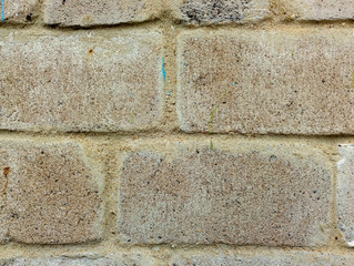 Vintage texture of old brickwork covered with moss and lichen, close-up, macro