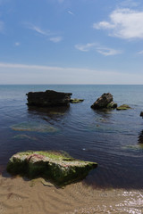 Mit Grünalgen überwucherte Felsen am Strand