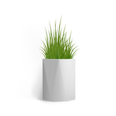 Fresh green grass in a rectangular white pot. Pot in the loft style. Home decor element. Symbol of growth and ecology. Vector realistic illustration isolated.