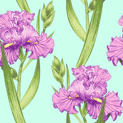 Nahtloses Vektormuster mit Blumeniris. © marinavorona