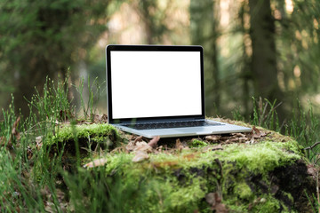Laptop outside concept. Empty copy space, blank screen mockup. Soft focus laptop in nature background. Ecology travel and work outside office concept.