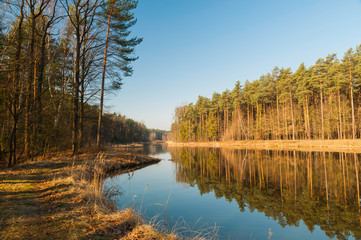 leśny staw wczesną wiosną © Konrad