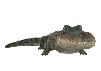 Krokodil, 3D Illustration