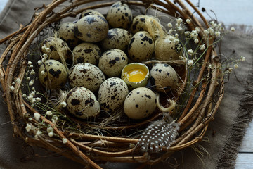 Obraz premium Easter wreath of grape branches, gypsophila, quail feathers and eggs on a brown linen napkin. Copy space for greeting text, Happy Easter card, top view.