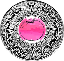 tomato sketch drawing