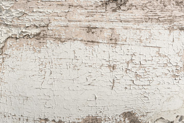 Texture of wood panel with old peeling cracked weathered white paint close up with cracks and scratches. Background abstract pattern as background for your design with copy space and place for text