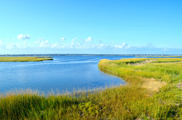 A small cove off of Moriches Bay is protected by the embrace of marshland. Westhampton Beach, Long island, NY. Copy space.