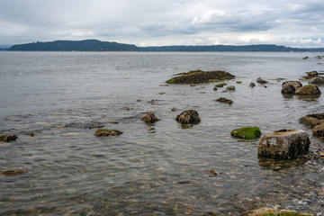 Incoming Tide covers beach rocks in Seattle