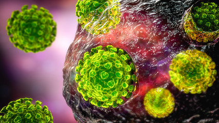 Coronaviruses Covid-19 infecting human cell