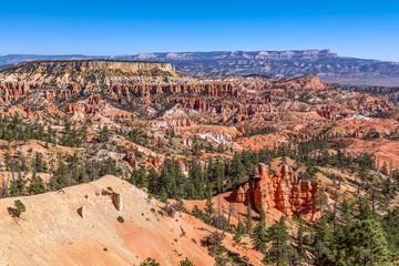 Fototapeta na wymiar Panoramic view of amazing hoodoos sandstone formations in scenic Bryce Canyon National Parkon on a sunny day. Utah, USA
