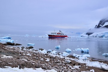 Neko Harbour , Antarctica 