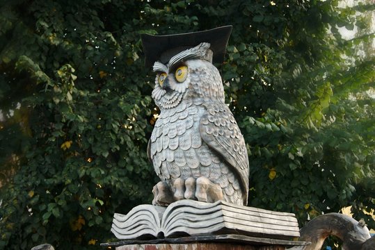 clever owl in tomsk