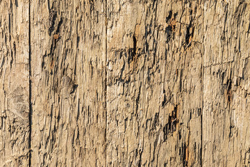 The old decayed brown wood plank fence with nails  background or texture