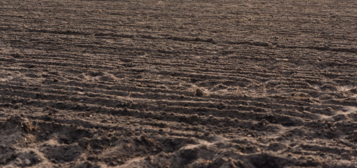 tire tracks in the sand