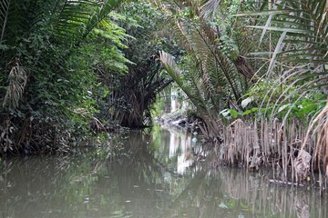 rural landscape at song hau river in vietnam