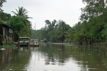 rural landscape at song hau river in vietnam