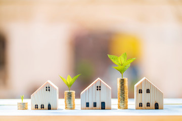 Stacked gold coins and plant growing on the top and wooden home model put on the blue vintage wood...