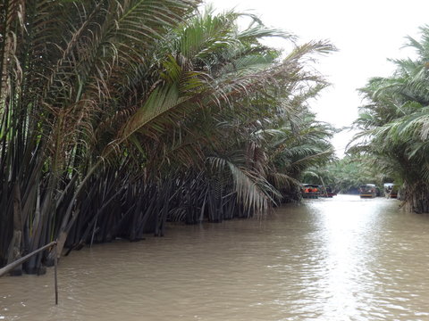 Mekong Delta