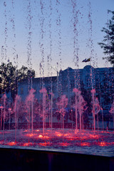 Beautiful fountains in the evening. Water jets are highlighted with bright colors, red, blue. Evening colors on the water create a romantic mood.