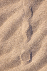 Fototapeta na wymiar Ball tracks in the sand. Summer background