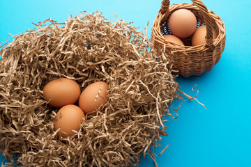 chicken eggs in a nest of paper
