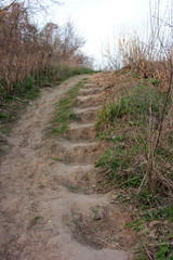 Steps built into a slope or dig up on a hill. Stairs in sloping ground. A stairway and path in the park, wood or forest. Natural environment. 