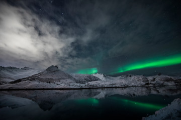 Polarlicht über einem Fjord