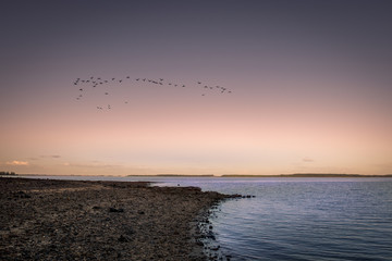 Atardecer cálido 