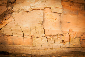 Old beautiful natural wood texture pattern as natural background for design