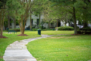 walkway with trees