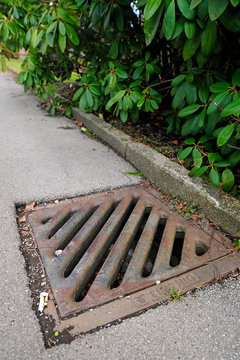 Gullydeckel auf einem Friedhof (Todesfalle f&uuml;r Kleintiere)  - Manhole cover on a cemetery