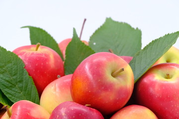New Zealand apple on wooden background