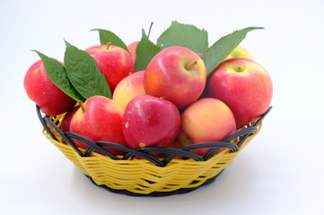 New Zealand apple on wooden background