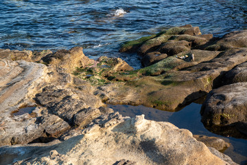 磯辺　観音崎公園
