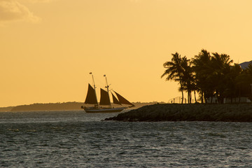 Sailboat at Sunset with Palm Tress