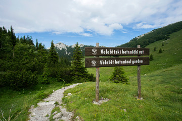Velebit mountain in Croatia, landscape