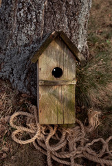 Wooden birdhouse is ready for installation on tree, spring is coming, meeting of migratory birds. Man and nature.