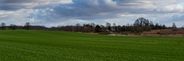 green meadow under cloudy sky on a summer day