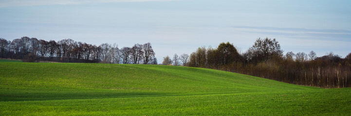 Fototapeta na wymiar green meadow under blue sky on a clear sunny day