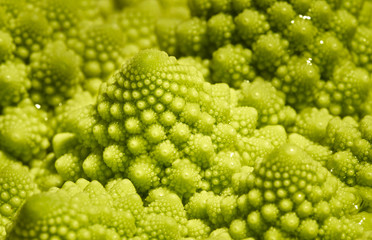 Blumenkohl Romanesco mit schönen Spiralen in Fibonacci Style mit Wassertropfen in grün und Nah aufgenommen