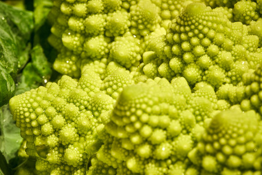 Blumenkohl Romanesco mit sch&ouml;nen Spiralen in Fibonacci Style mit Wassertropfen in gr&uuml;n und Nah aufgenommen