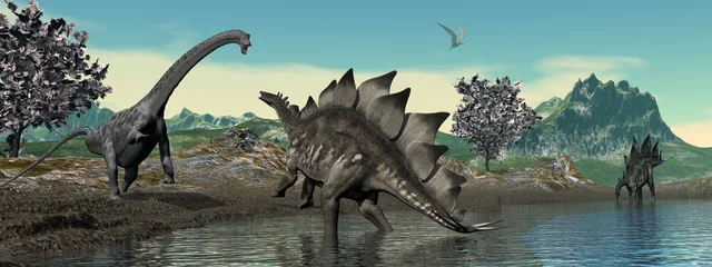 Fotobehang Dinosaurussen Dinosaur scenery with brachiosaurus and stegosaurus by day - 3D render  © Elenarts