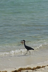 Naturaleza y Paisaje (Playa)