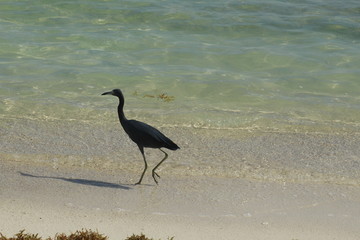 Naturaleza y Paisaje (Playa)