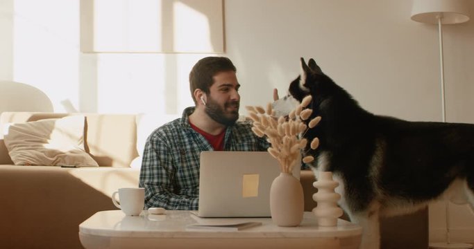 Middle Eastern male working from home, having a video call, dog sits near him. Stay home, quarantine remote work. Shot on RED Dragon