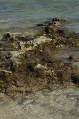 Naturaleza y Paisaje (Playa)