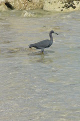 Naturaleza y Paisaje (Playa)